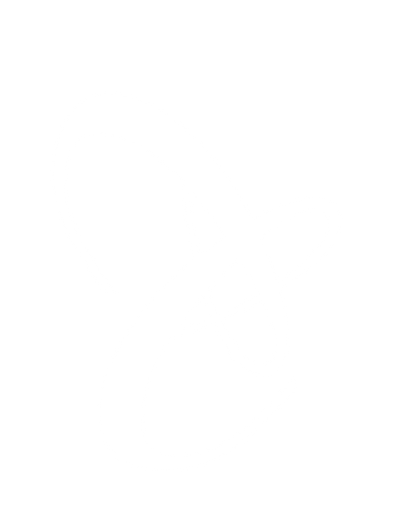 ELEVEN collective